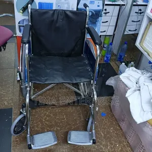 Standard Wheelchair Chairs