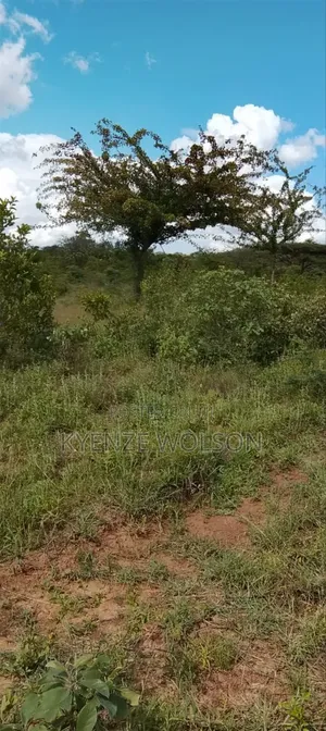 6 Acres Za Kulisha Kulima Kulisha Mbuzi,Ng'ombe