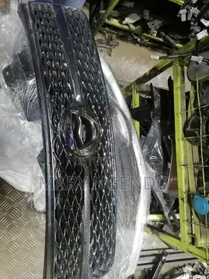 Front Grill for Toyota Fielder