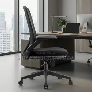 Mid-back Ergonomic Mesh Office Chair