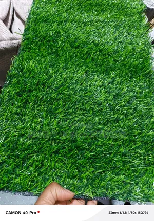 Outdoor 25mm Thickness Grass Carpet on Offer