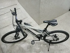 Galleven Size 26 Bike