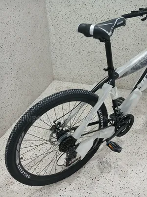 Galleven Size 26 Bike