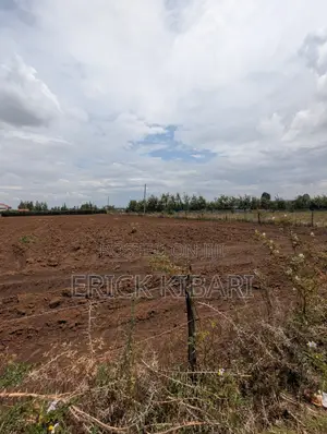 1 Acre Piece of Land