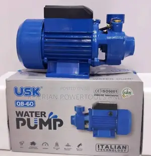 0.5hp Italian Technology Usk Booster Pump/0.5hp Water Pump
