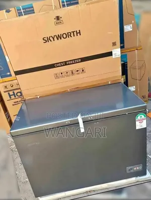 Silver Skyworth Deep Freezer 265l ,
