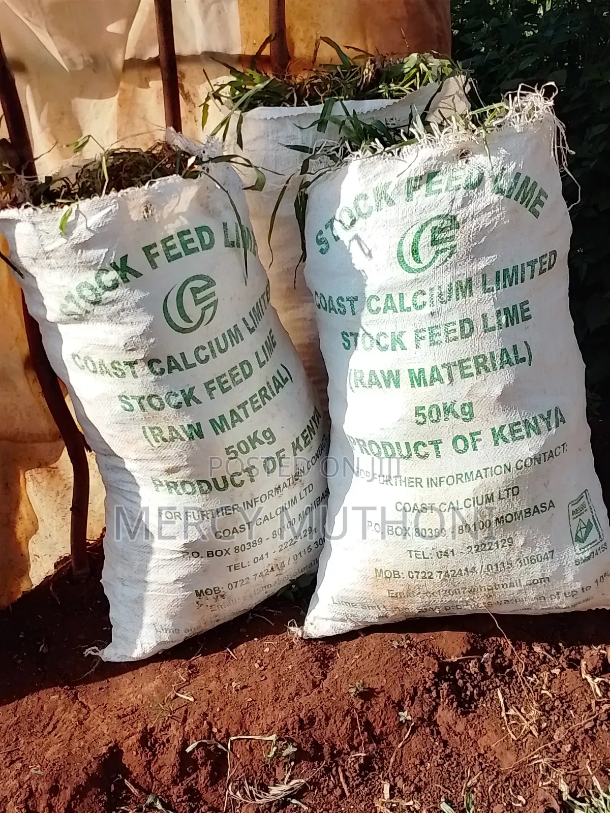 Pemba Grass on Wholesale