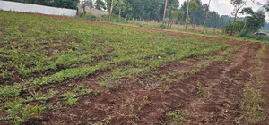 Several Plots for Sale in Racecours Eldoret