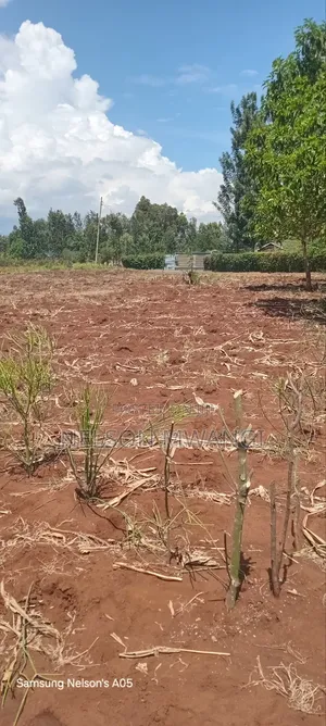 Land for Sale Along Kagio Kiangwaci Road 50/100 At