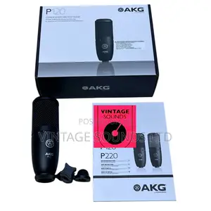 Akg P120 High Performance Condenser Microphone