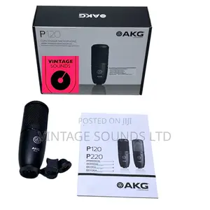 Akg P120 High Performance Condenser Microphone