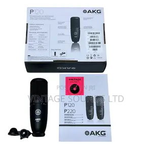 Akg P120 High-Performance General Purpose Recording Microphone
