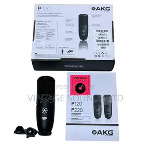 Akg P120 High-Performance General Purpose Recording Microphone