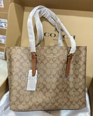 Coach Mollie Tote Bag 34 Dupe