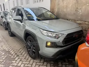 Toyota RAV4 Adventure AWD 2020 Gray