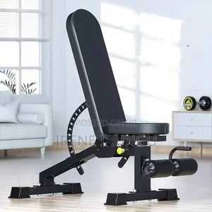 Adjustable Dumbbells/ Weight Plates Bench