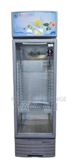 Commercial Smart Pro Display Fridge 255l