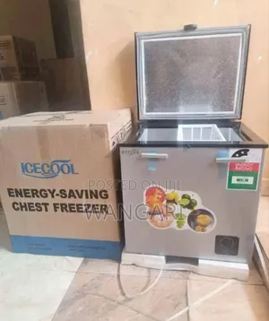 Ice Cool 60l Freezer