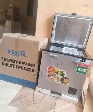 Ice Cool Energy Saving Freezer, 60litres