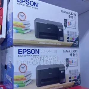 Ink Print Epson L3210