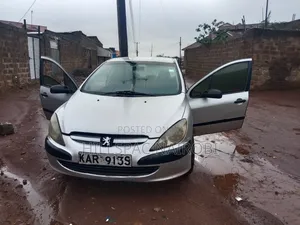 Peugeot 307 1.4 2004 Silver
