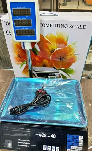 40kg Commercial Scale/40kg Butchery Scale With Arm