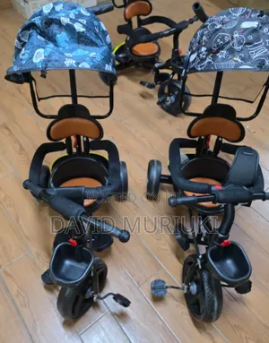 3-Wheel Tricycle With Sun/Rain Canopy