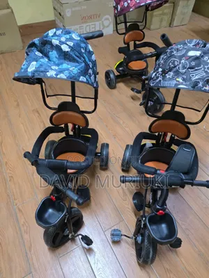3-Wheel Tricycle With Sun/Rain Canopy.