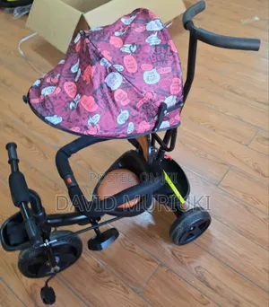 3-Wheels Tricycle With Sun/Rain Canopy