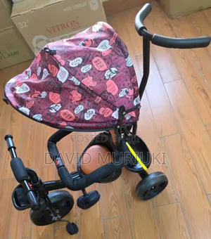 3-Wheel Tricycle With Sun Canopy
