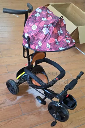Tricycle With Protective Canopy