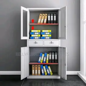 2 Door Half Glass Metallic Cabinet
