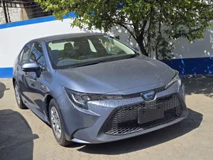 Toyota Corolla XLE 2020 Blue