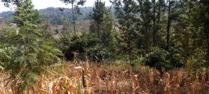A 1.001 Acre Land With a 2 Bedroom Self Contained House on It.