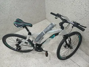 Galleven Bike Size 26