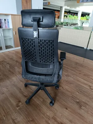 Orthopaedic Office Chair