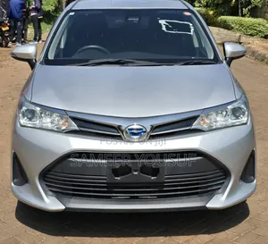 Toyota Corolla Fielder 2018 Silver