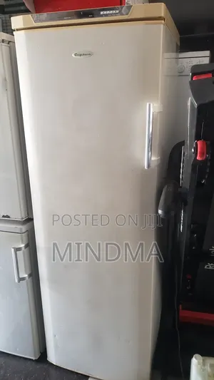 Frigidaire Standing Freezer