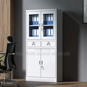 Office Cabinet; 2-door Metallic Office Cabinet
