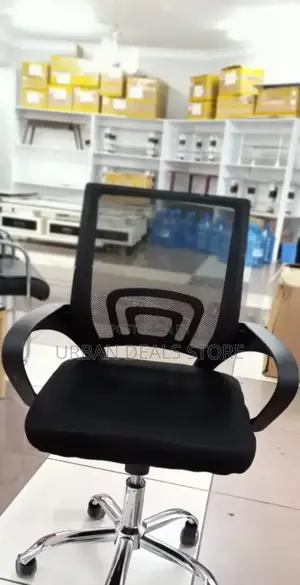 Assembled Executive Office Chair (Black)