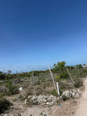 Beach Plot