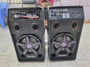 Cortina Ca-1100 Professional Speaker System.- Karaoke 