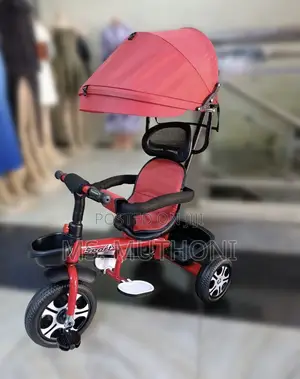 Caged Kids Tricycle With a Canopy