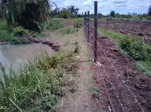 Eco Fencing Posts