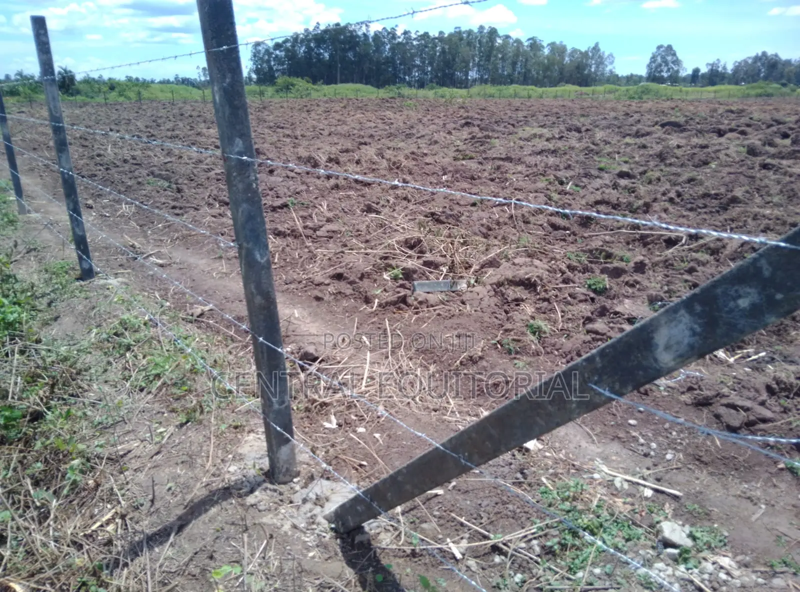 Eco Fencing Posts