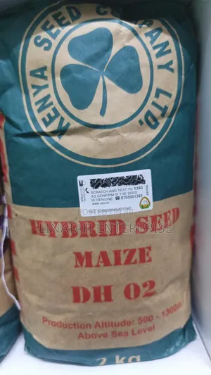 Dh 02 2kg Maize Seeds