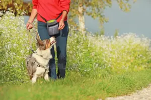 Durable Treat Pouch