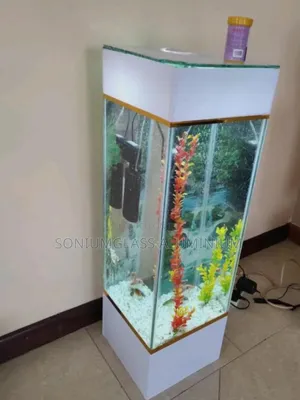 Tower Aquarium