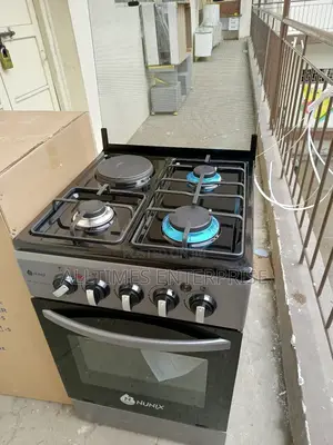 Nunix 50cm*55cm 3g+1electric Standing Cooker Electric Oven Rotisserie