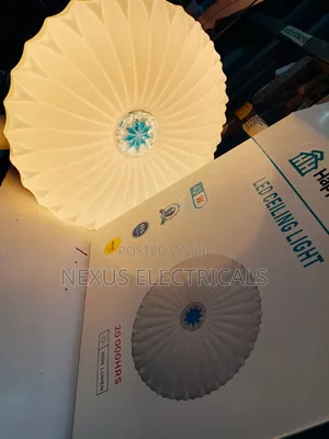 Ceiling Light